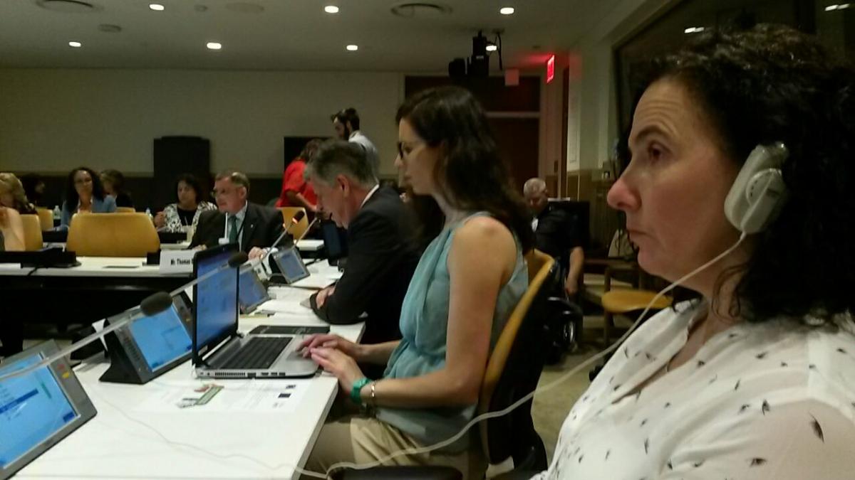 Antonia speaking about gender and disability at the Conference of States Parties to th CRPD